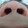 bigfatp_ssycat