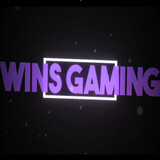 wins gaming1