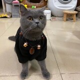 yaoyaojiuyue