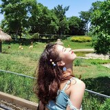 tianjia_____wandou