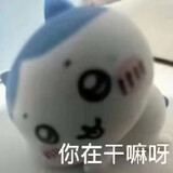 xiaowaibolixinyy