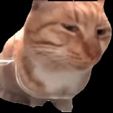 jinggghh