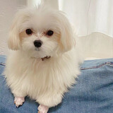 sunny_duoduo