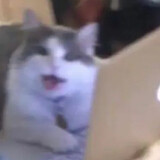 klllll_