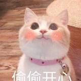 benchamat3_05