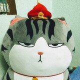wibupic