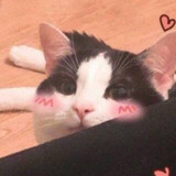 yumizhimiao