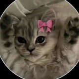 Mimi_ here876