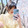 qiqidelive