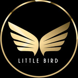 Little bird