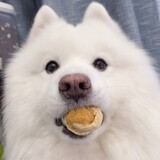 bianbianbianbianbian