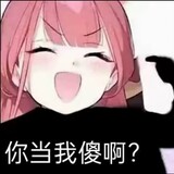haishihongshao34