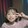 duoduo-wangjinghao