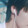 lee_sh_