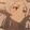 シルフィdahaoき
