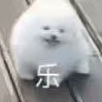 yuzhibogouzi_