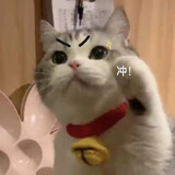 wurenquyeqiangwei_