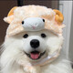 creator avatar