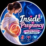Inside pregnancy