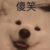 tanlunshangmuxing