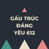Gấu Trúc Đáng Yêu 612