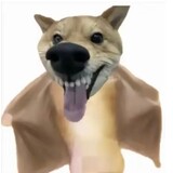 aihaoshiguanchawawa