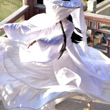 xiaoyubujiangliya