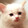 miaoxingh___iang