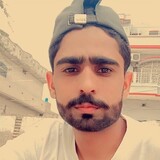 Pti Tiger_6334