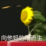 xiaoleise