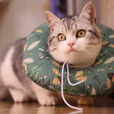 Taozijianghexiaobuding