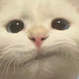 hejiuchifana