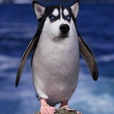 laokedaxingjilupian
