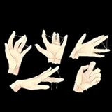 BL/KPOP/ANIME.ADDICT