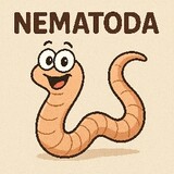 NEMATODA.