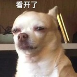 yizhiliusha1