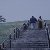 qingbai_