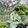 RaihanRahman130