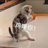 liuguangdonghuaye