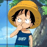 Luffy088