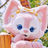 mofadatoucai