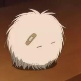 zuoyoubushiren