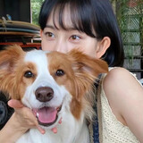 bujiushimeiqiguan