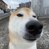 ช่องโจ้บาร์เบอร์