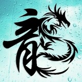 huaxialongyin