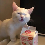 zuobuchi