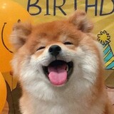 lizhiagong