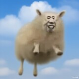 feitian___yang