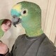 creator avatar