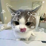 Zian_xrqn
